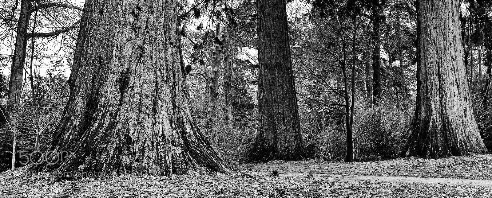Canon EOS 5D sample photo. Sleeping giants photography