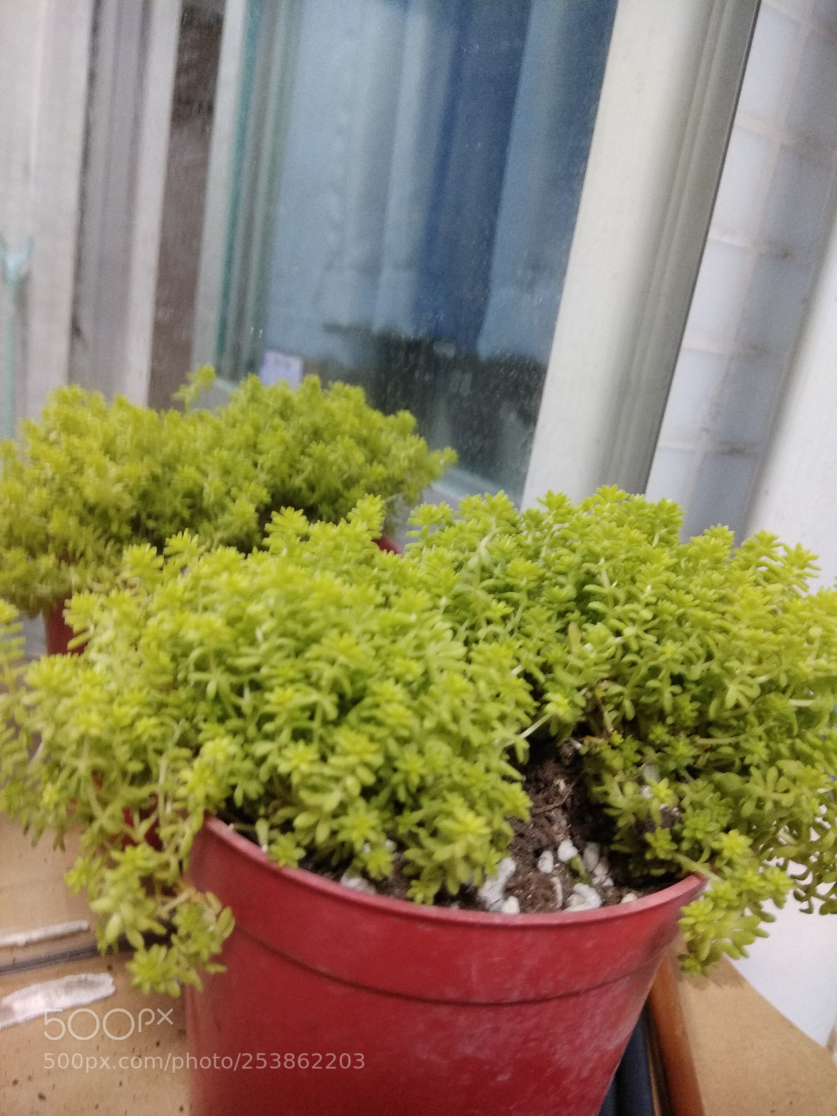 Xiaomi Redmi Note 4X sample photo. Untitled photography
