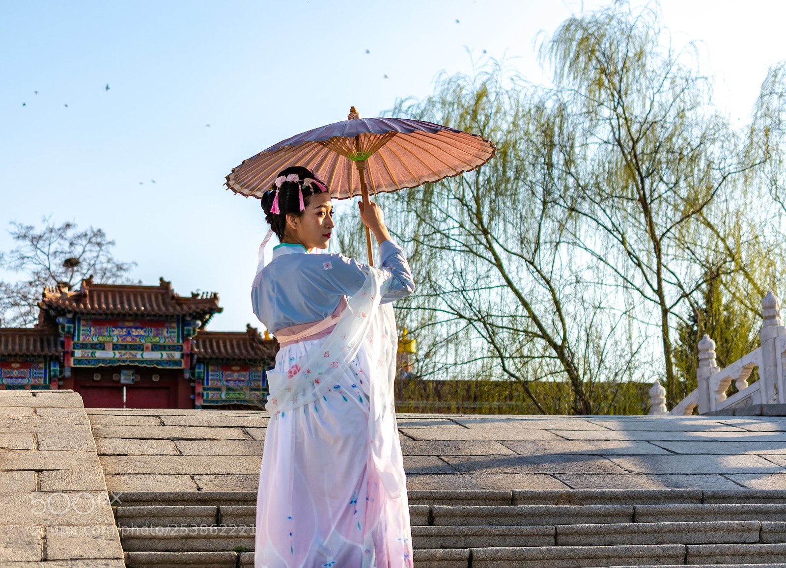 Nikon D7100 sample photo. Back photography