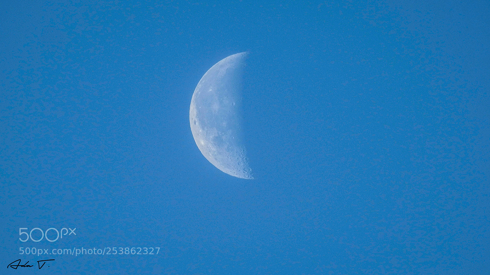 Nikon Coolpix P900 sample photo. Morning moon photography