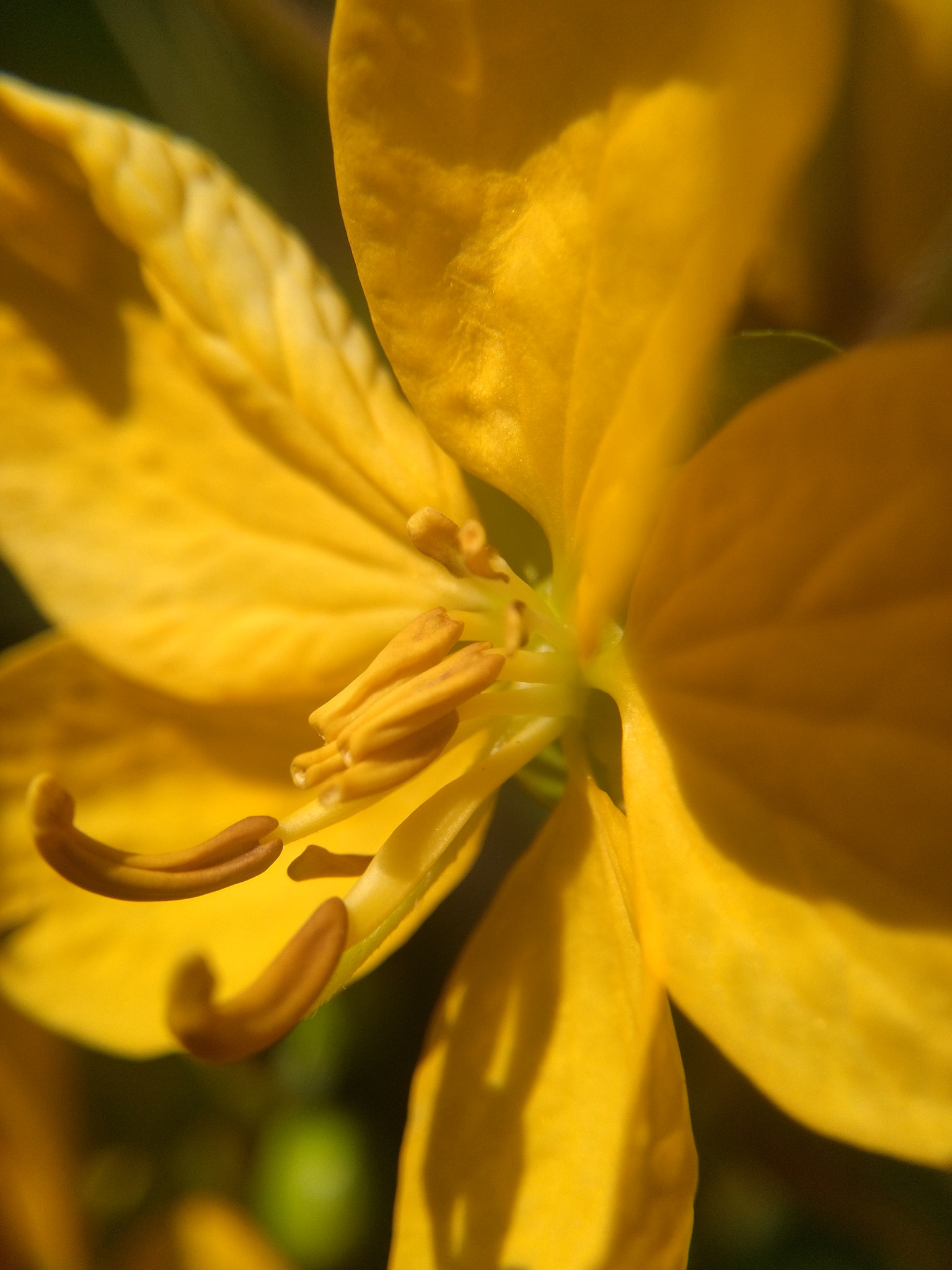 HUAWEI Honor 5X sample photo