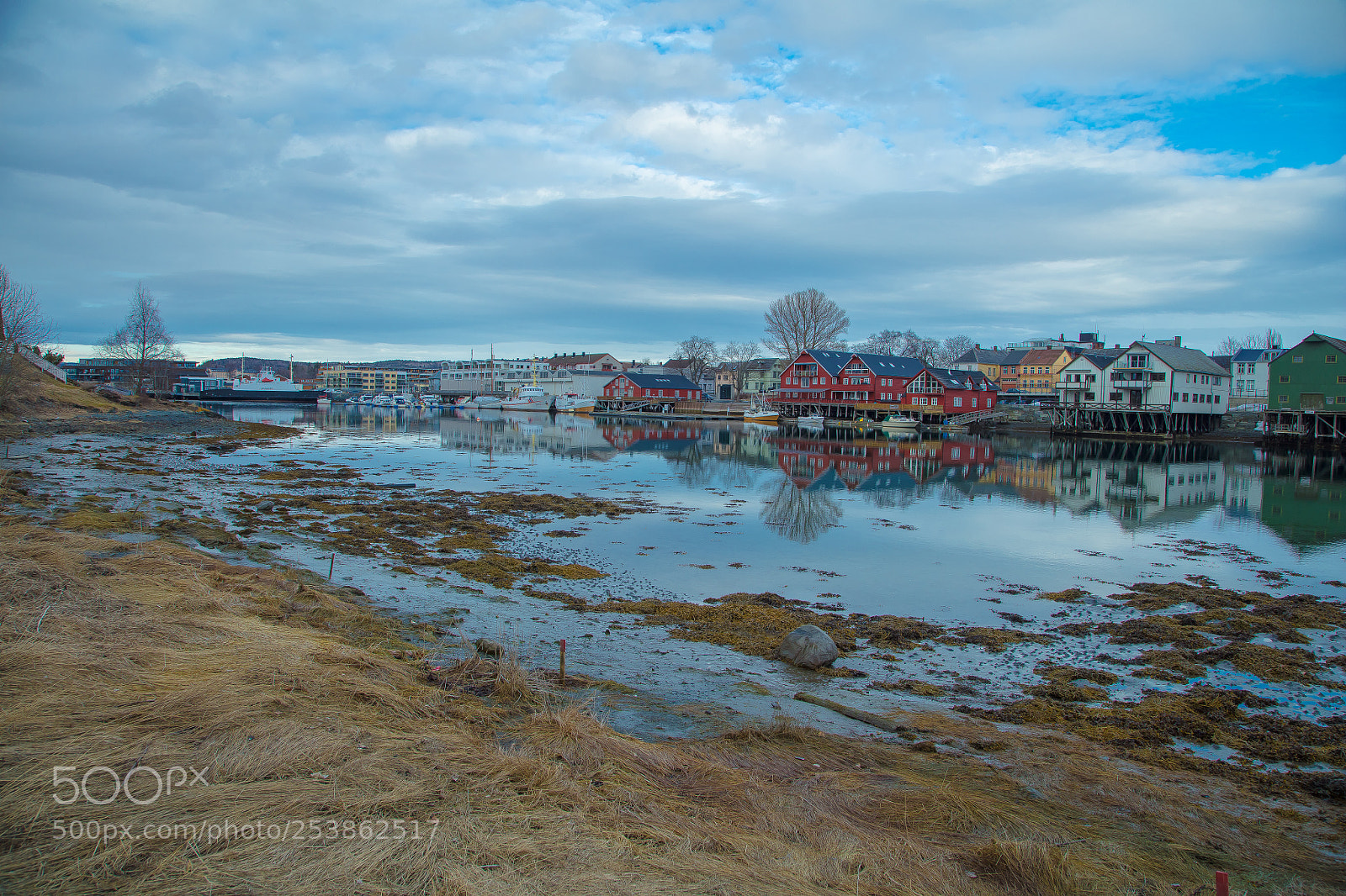 Canon EOS 5DS R sample photo. Low tide in the photography