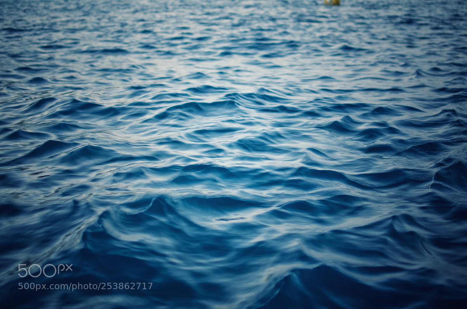 Nikon D5100 sample photo. Blue photography