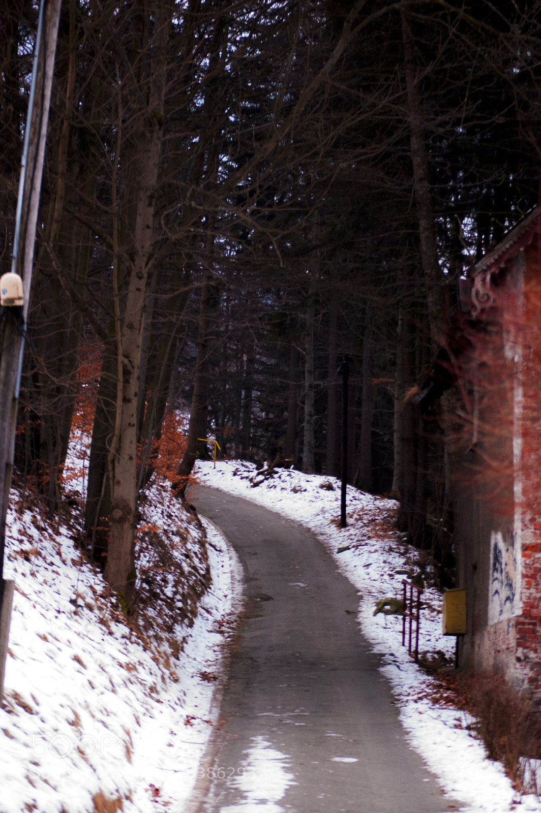Nikon D40 sample photo. Path photography