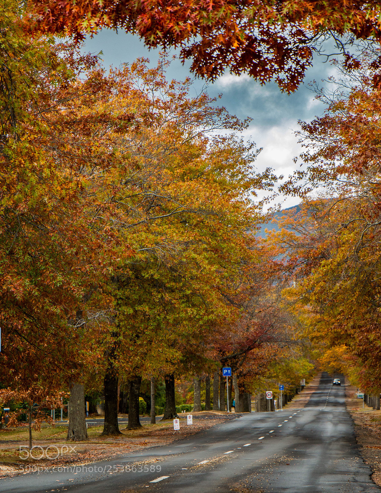 Canon EOS 70D sample photo. Season change photography