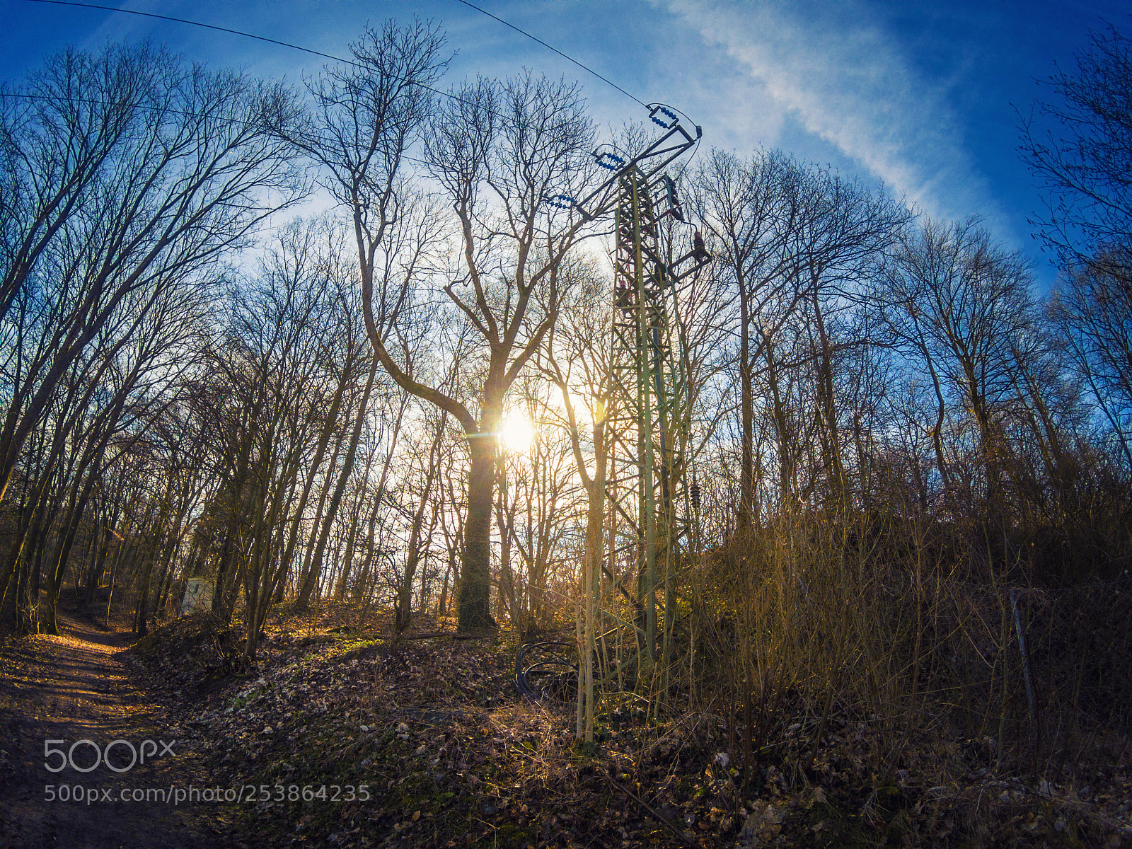 GoPro Hero5 Black sample photo. Forest scene with sunshine photography