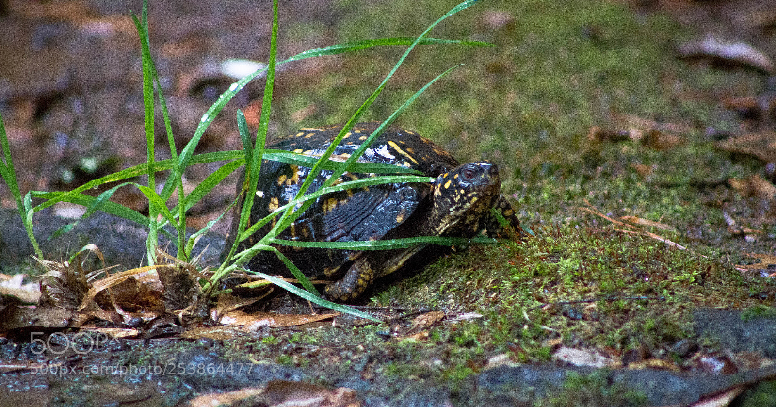 Canon EOS 7D sample photo. Untitled photography