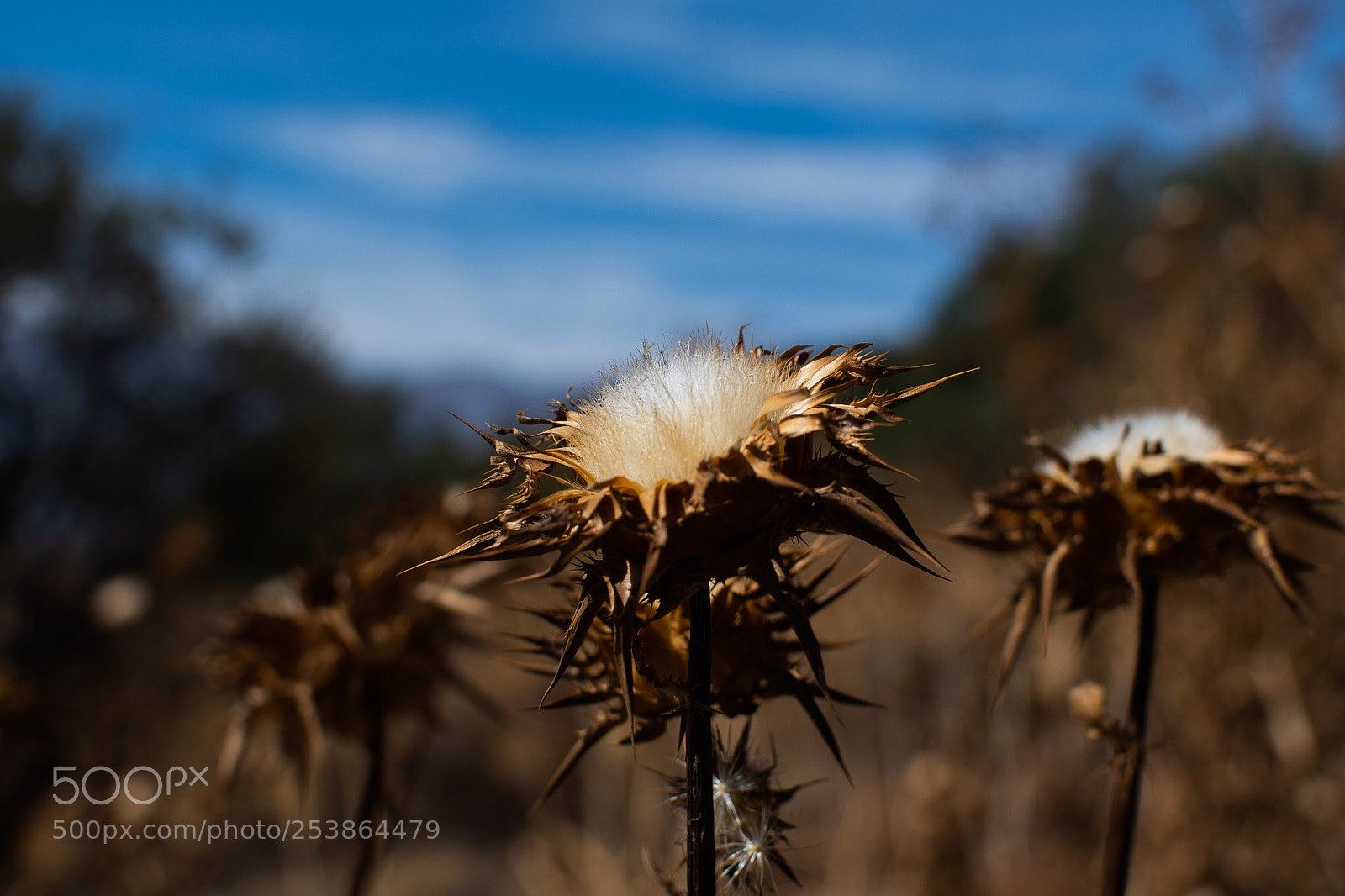 Nikon D7500 sample photo. Untitled photography