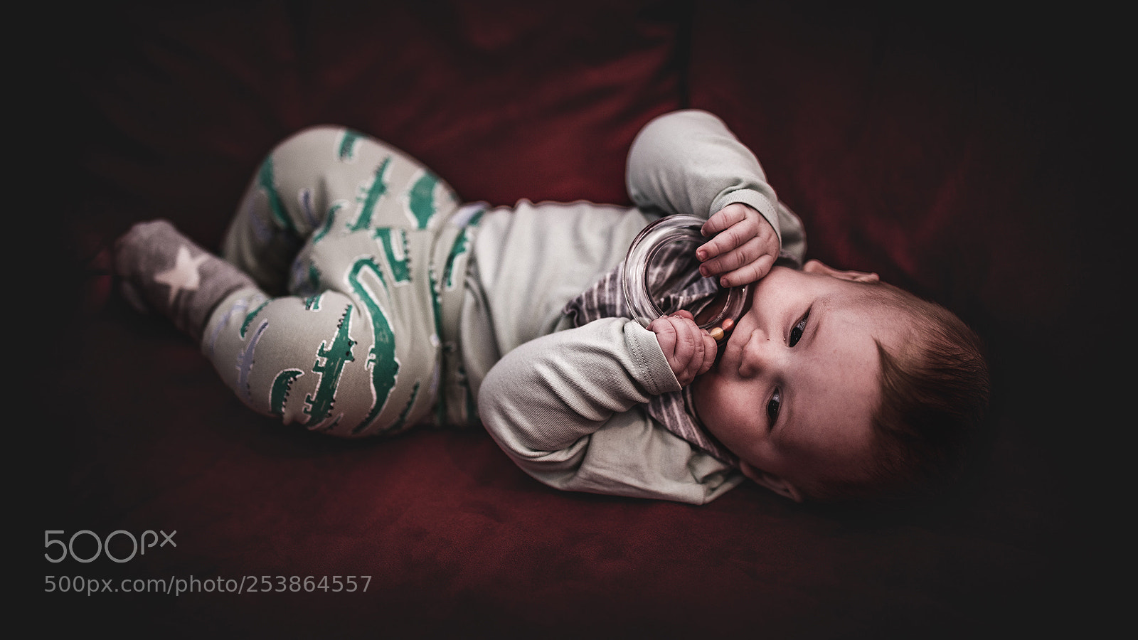 Canon EOS 5D Mark IV sample photo. Oliver photography