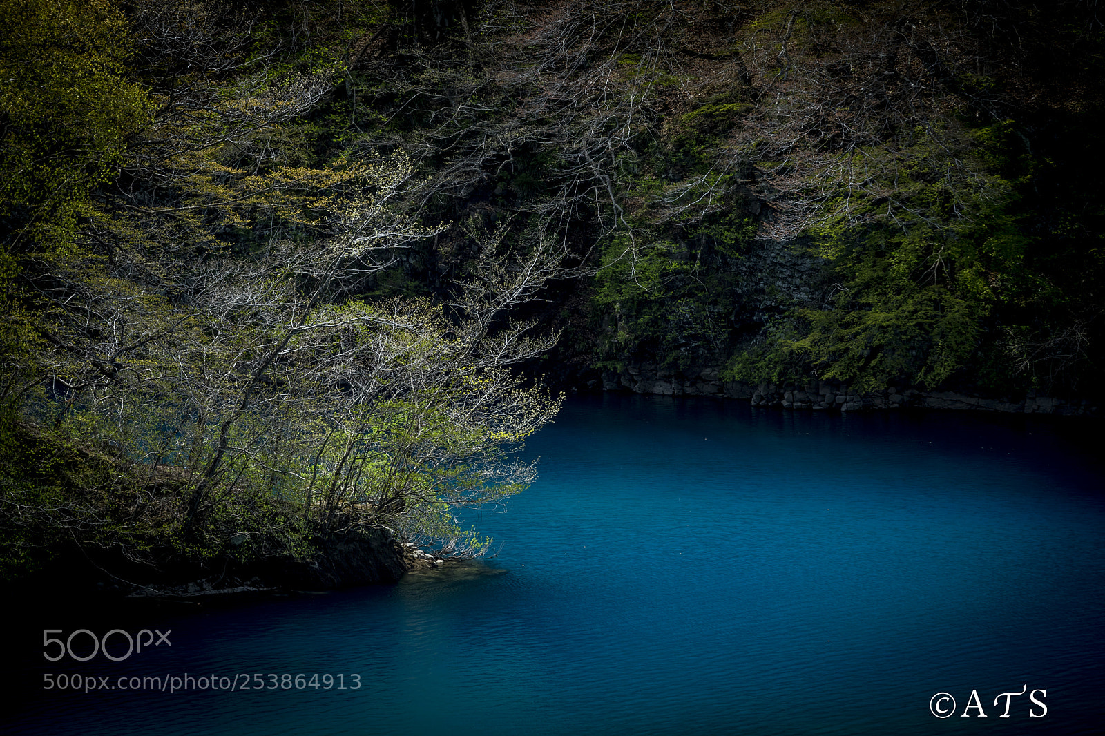 Canon EOS 5D Mark IV sample photo. Blue photography