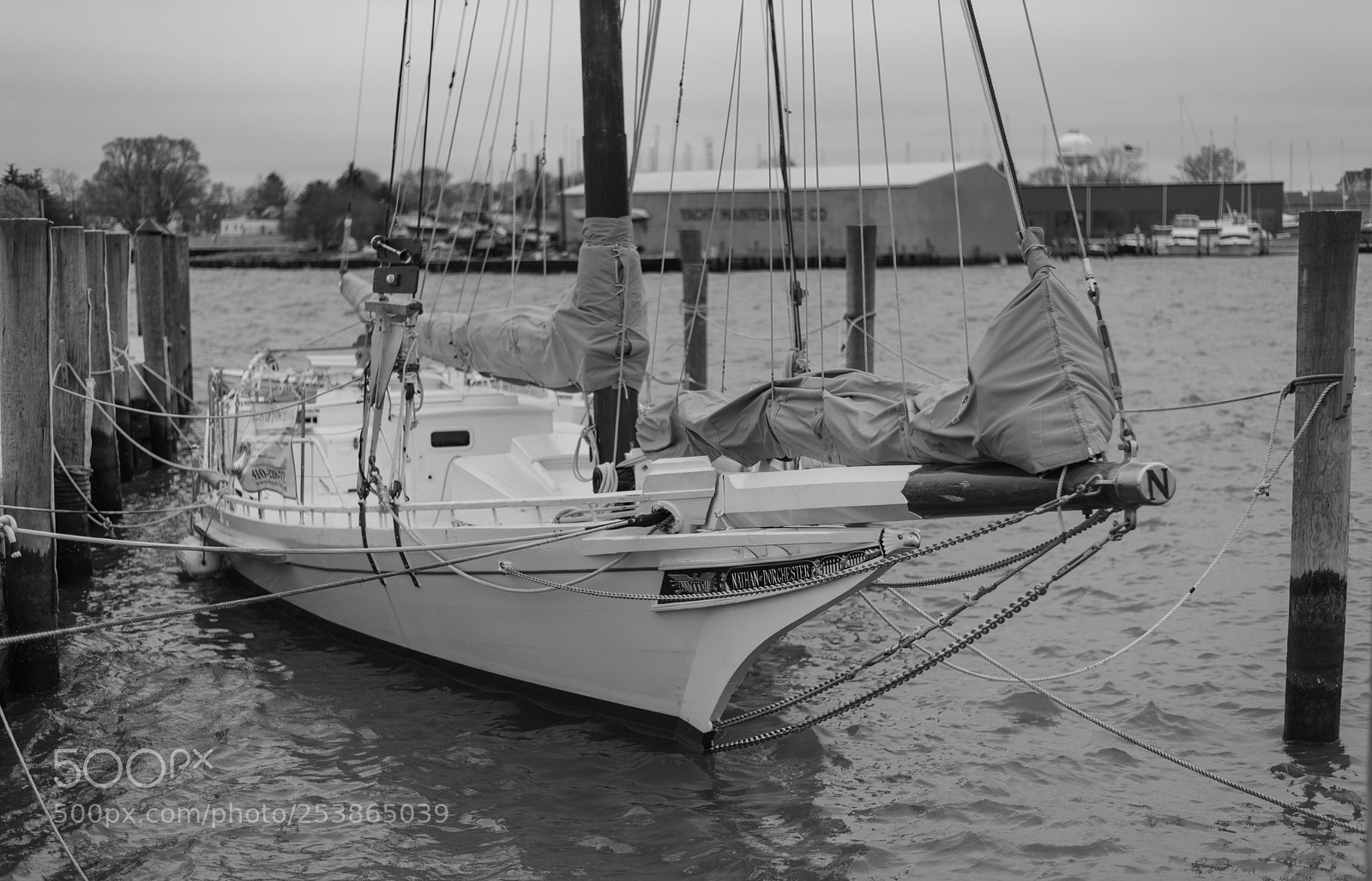 Nikon D750 sample photo. Docked in dorchester photography
