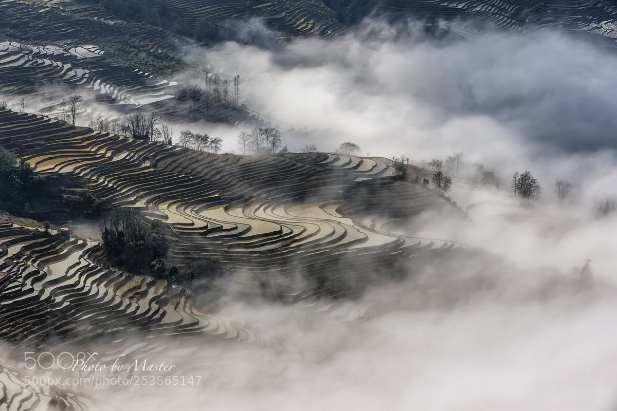 Canon EOS-1D X Mark II sample photo. Landscape photography