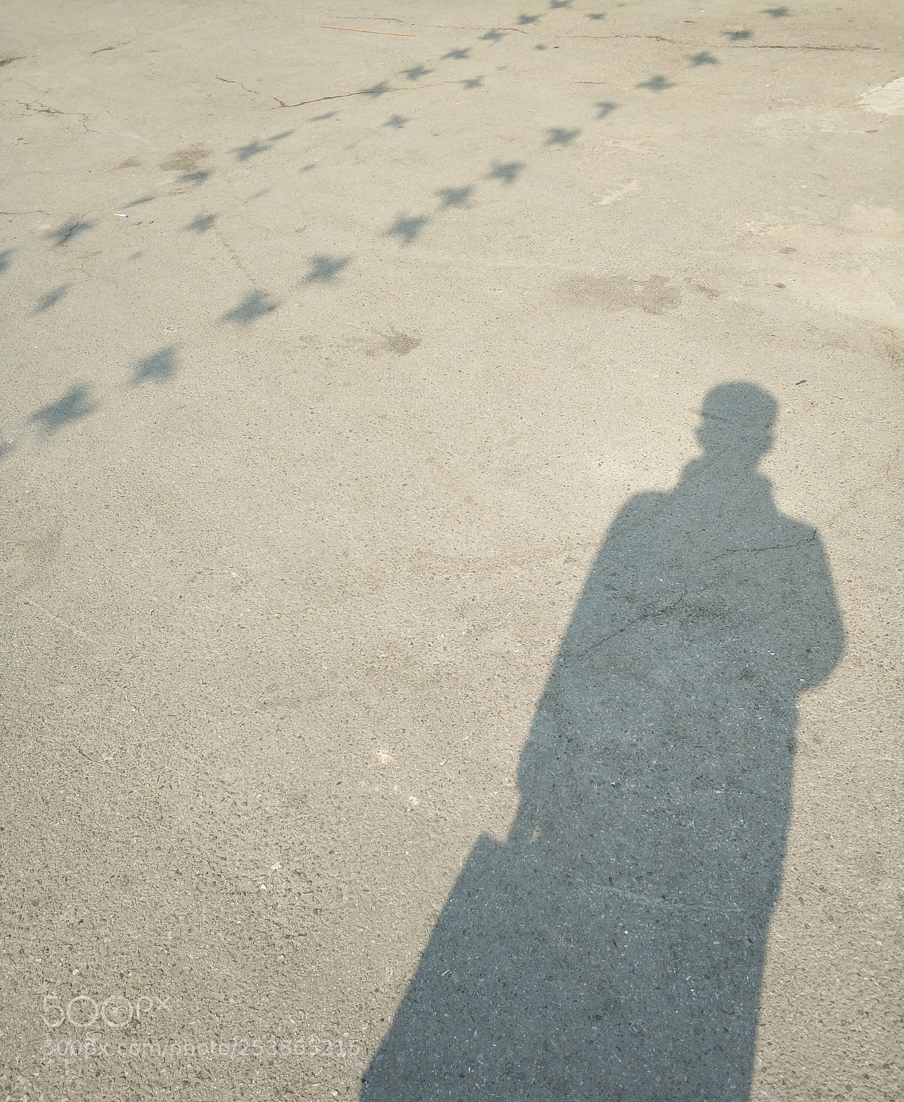 Xiaomi MI6 sample photo. Untitled photography