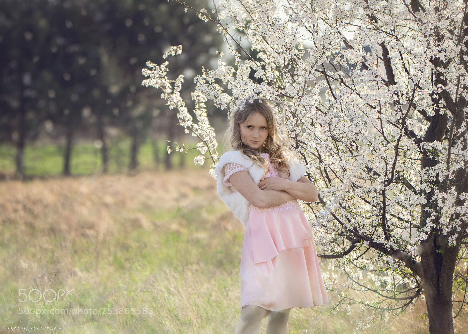 Nikon D5300 sample photo. . photography