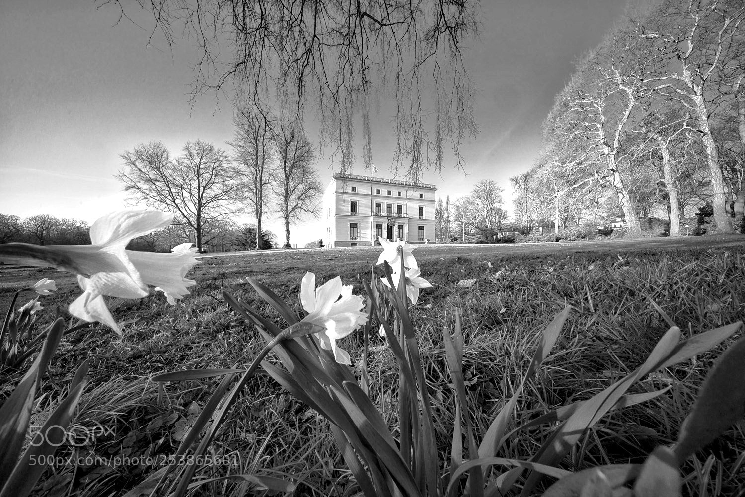 Sony a7R sample photo. Springtime photography