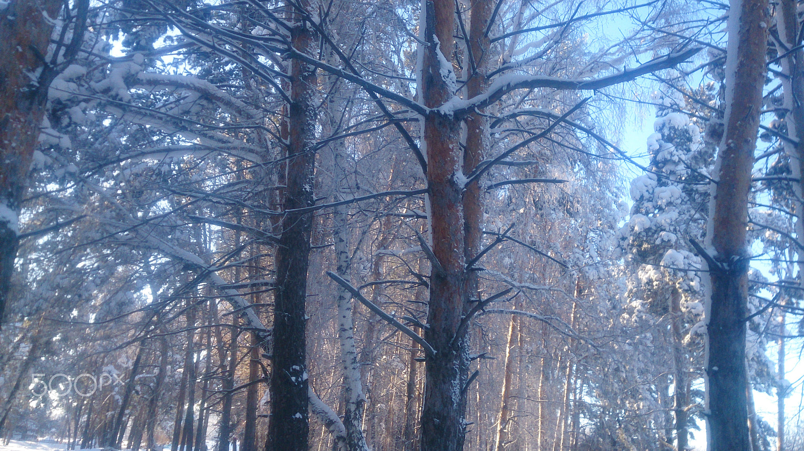 Sony Xperia ZR sample photo. Dsc photography