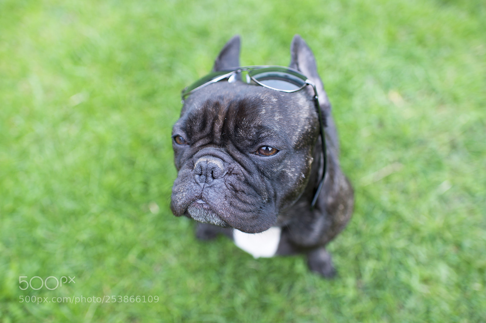 Nikon Df sample photo. Rock star photography