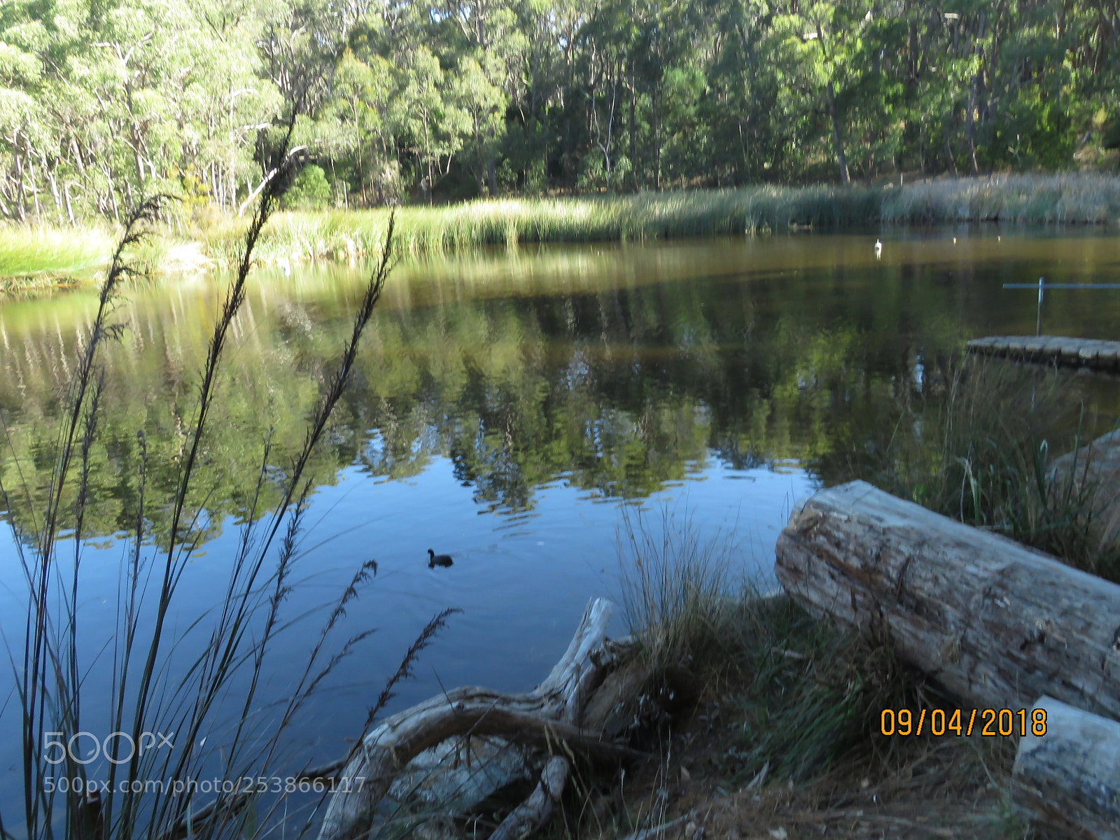 Canon PowerShot SX60 HS sample photo. Img photography