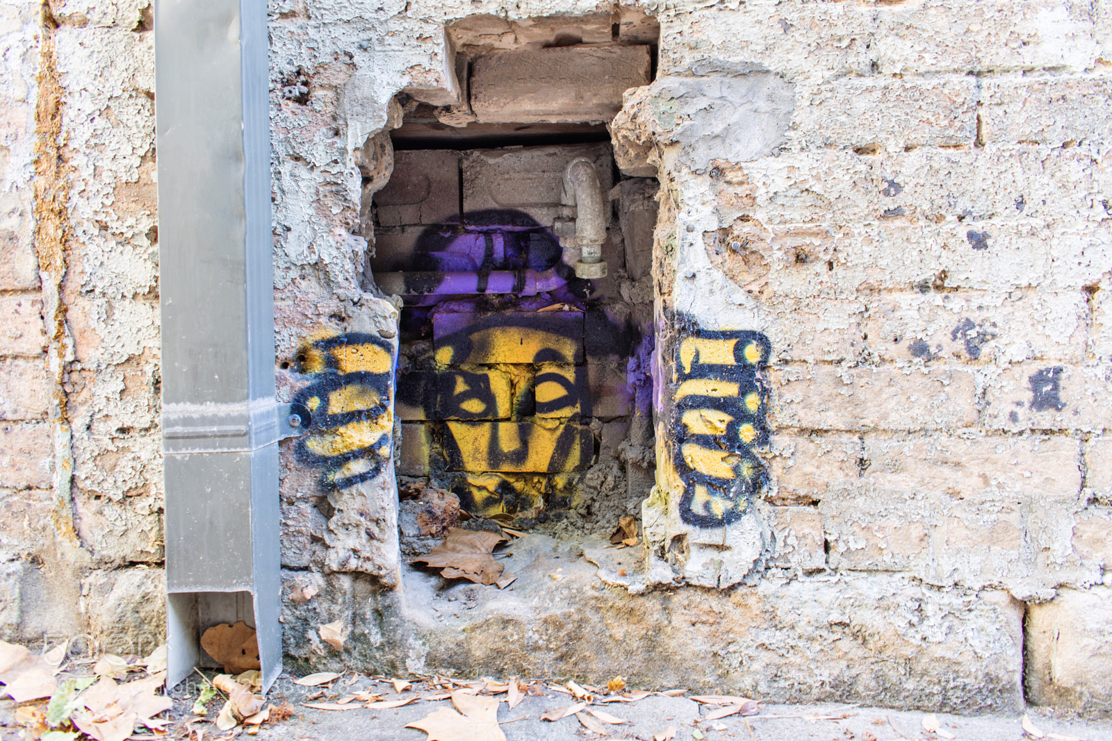 Nikon D5600 sample photo. Some nice graff photography