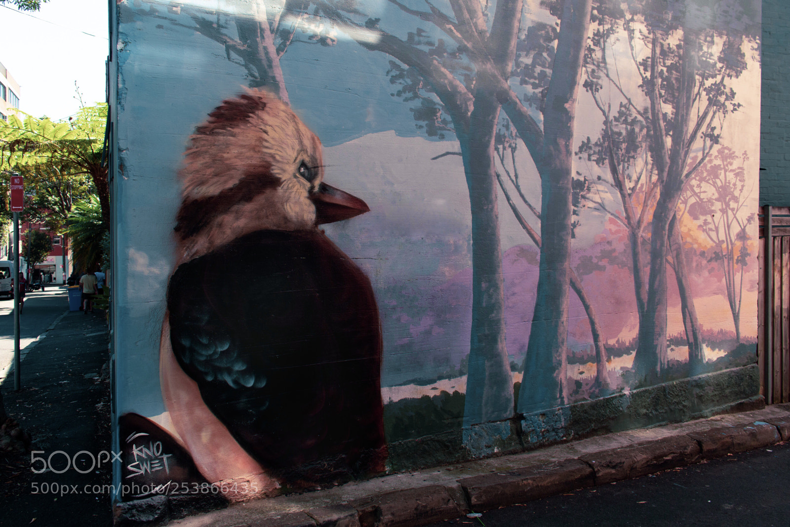 Nikon D5600 sample photo. Kookaburra  photography