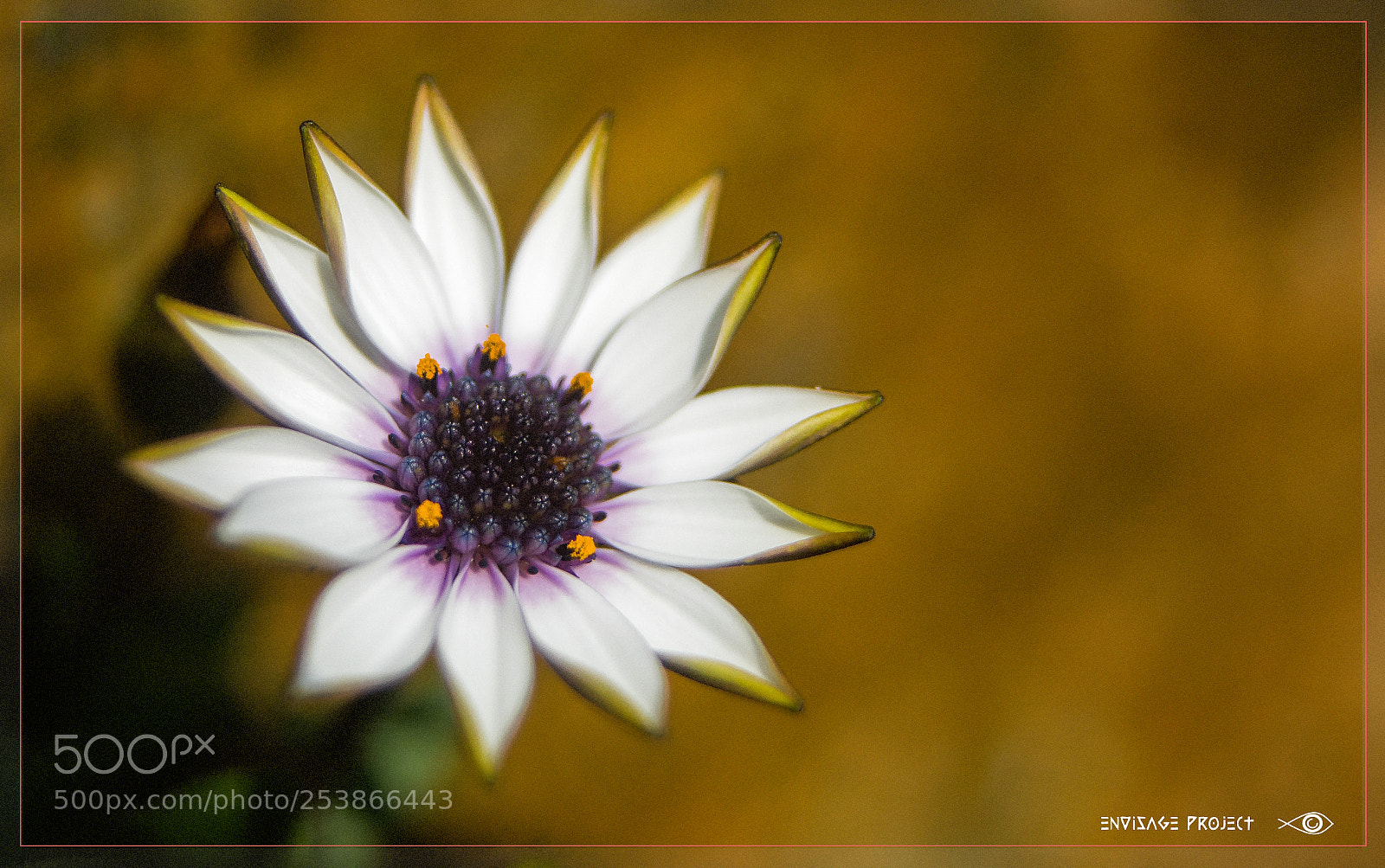 Sony a7R sample photo. Out of granite photography
