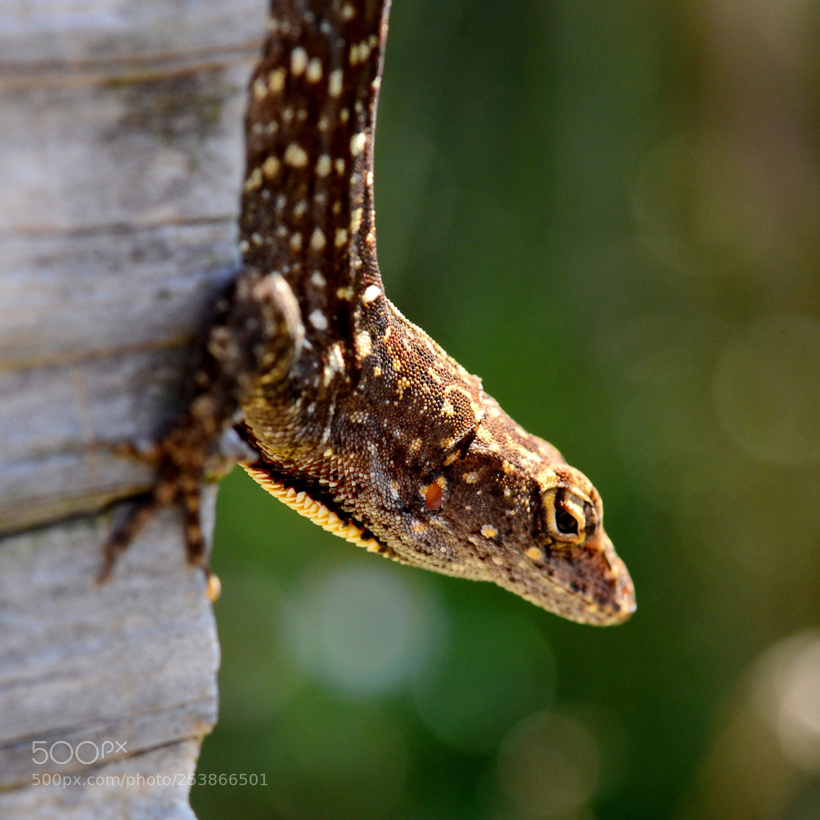 Nikon D600 sample photo. Untitled photography