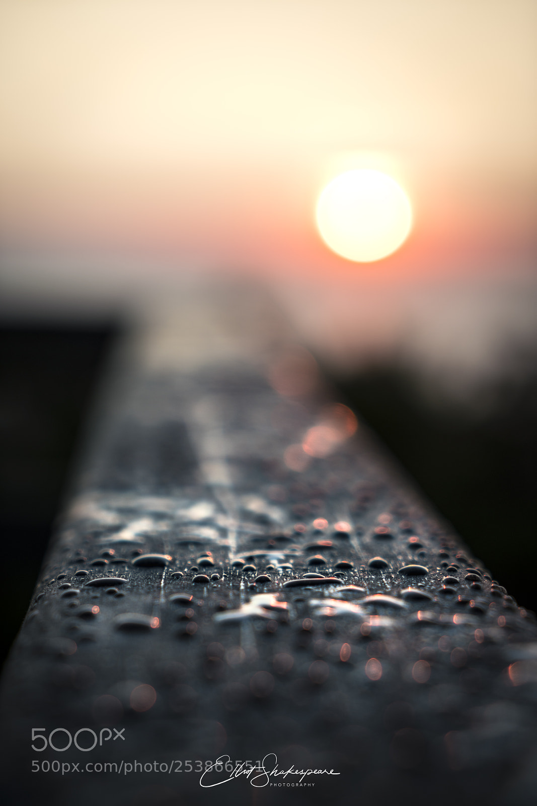 Sony a7R III sample photo. Focus photography