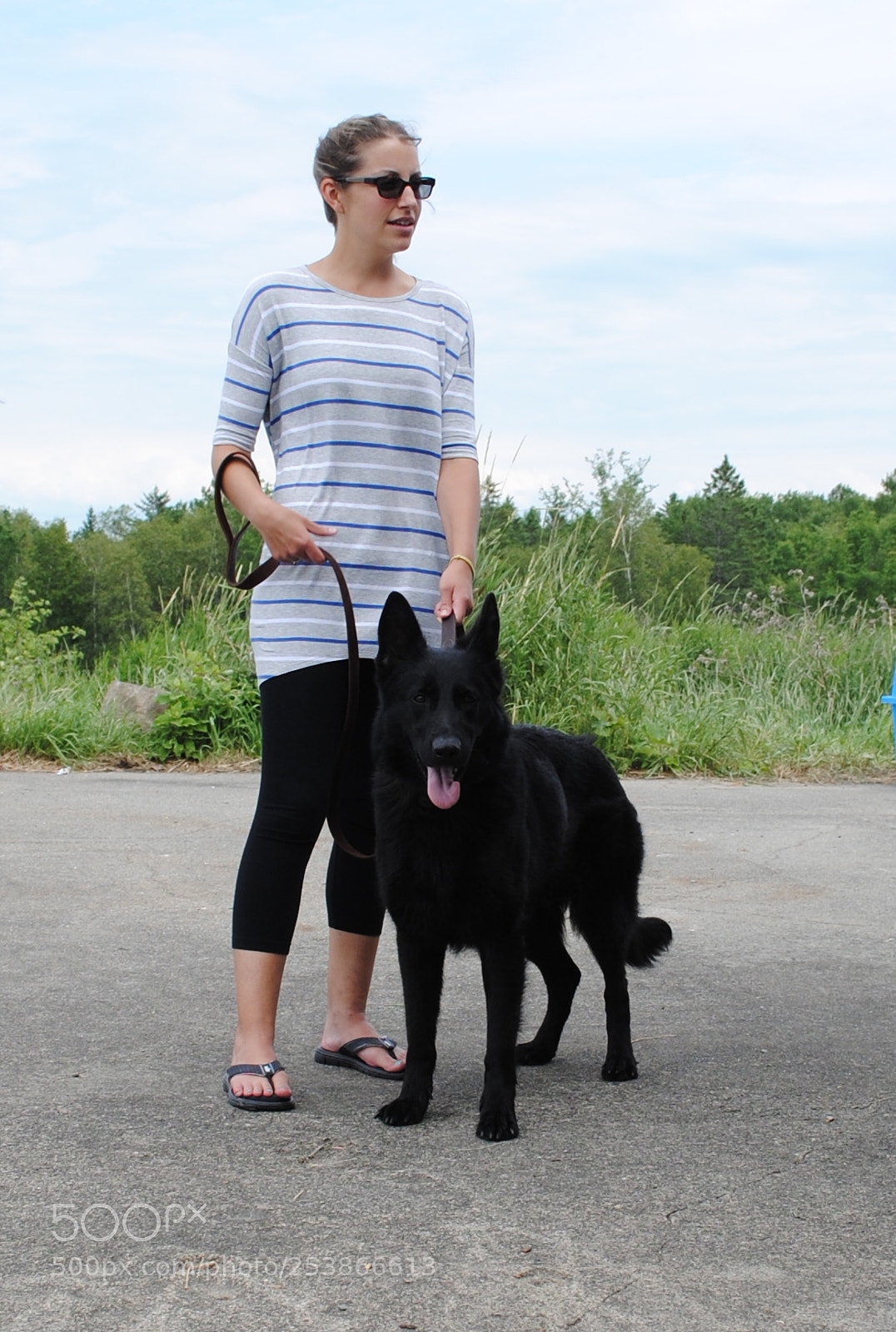 Nikon D3000 sample photo. Best protection dogs to photography