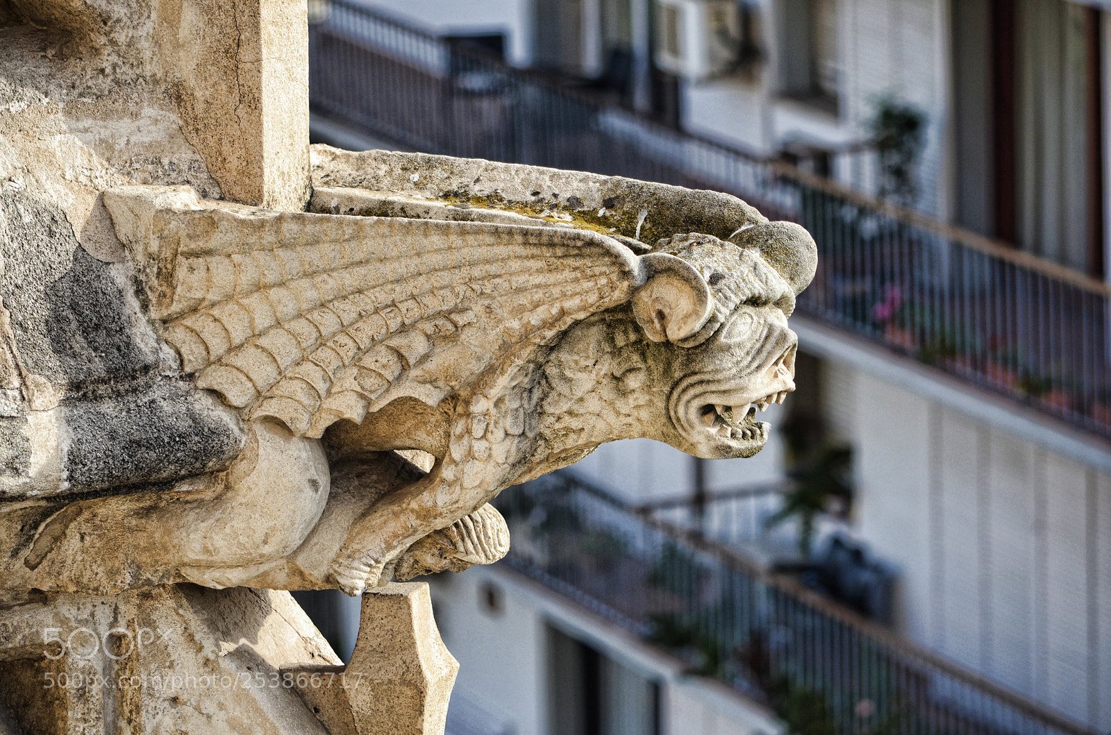 Nikon D7000 sample photo. Gargoyle photography