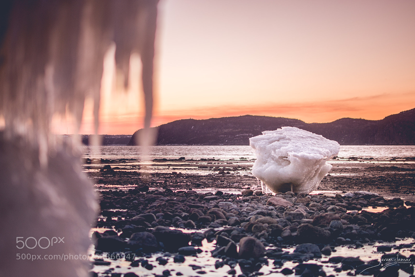 Nikon D7100 sample photo. Iced warm photography