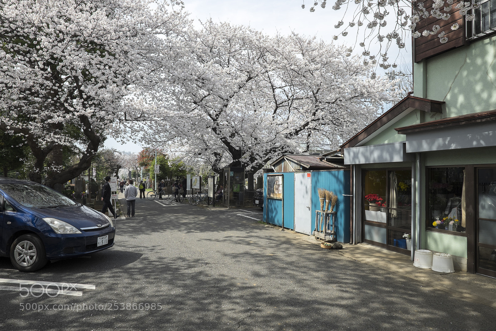 Fujifilm X-T1 sample photo. Tokyo.豊島区駒込　染井霊園入り口 photography