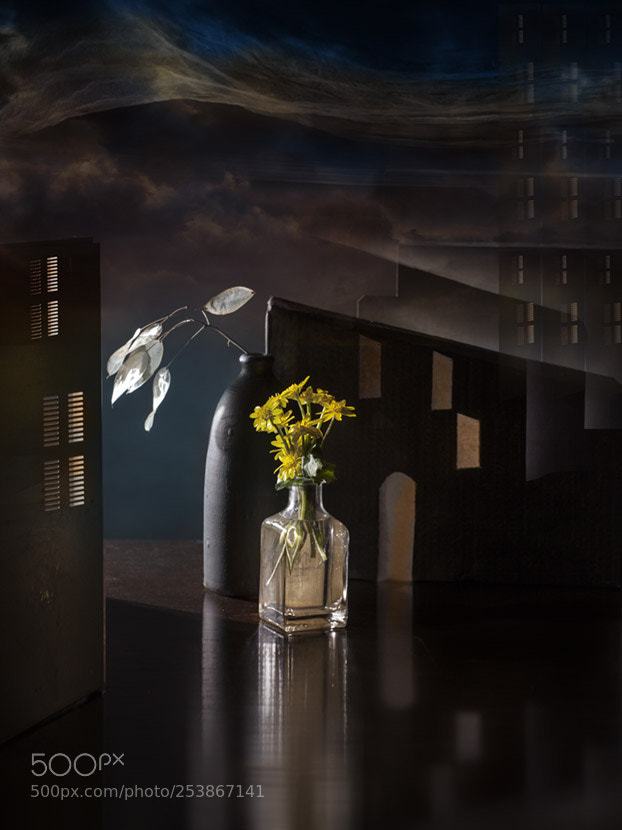 Canon EOS 5D Mark II sample photo. Flowers in the city photography