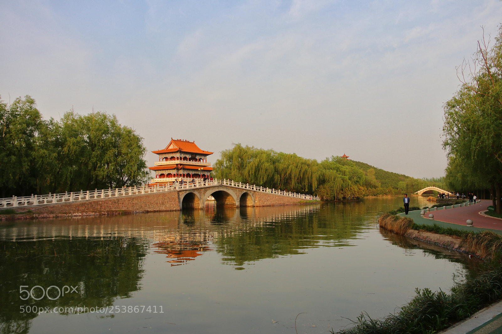 Canon EOS 80D sample photo. 禹州森林植物园 photography