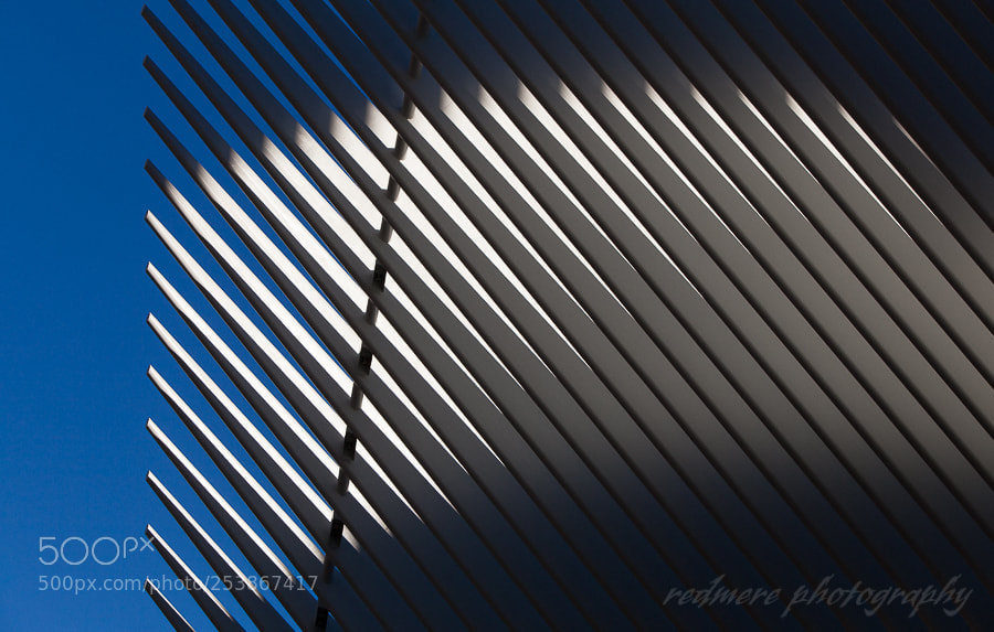 Canon EOS 5D Mark II sample photo. Bending light photography
