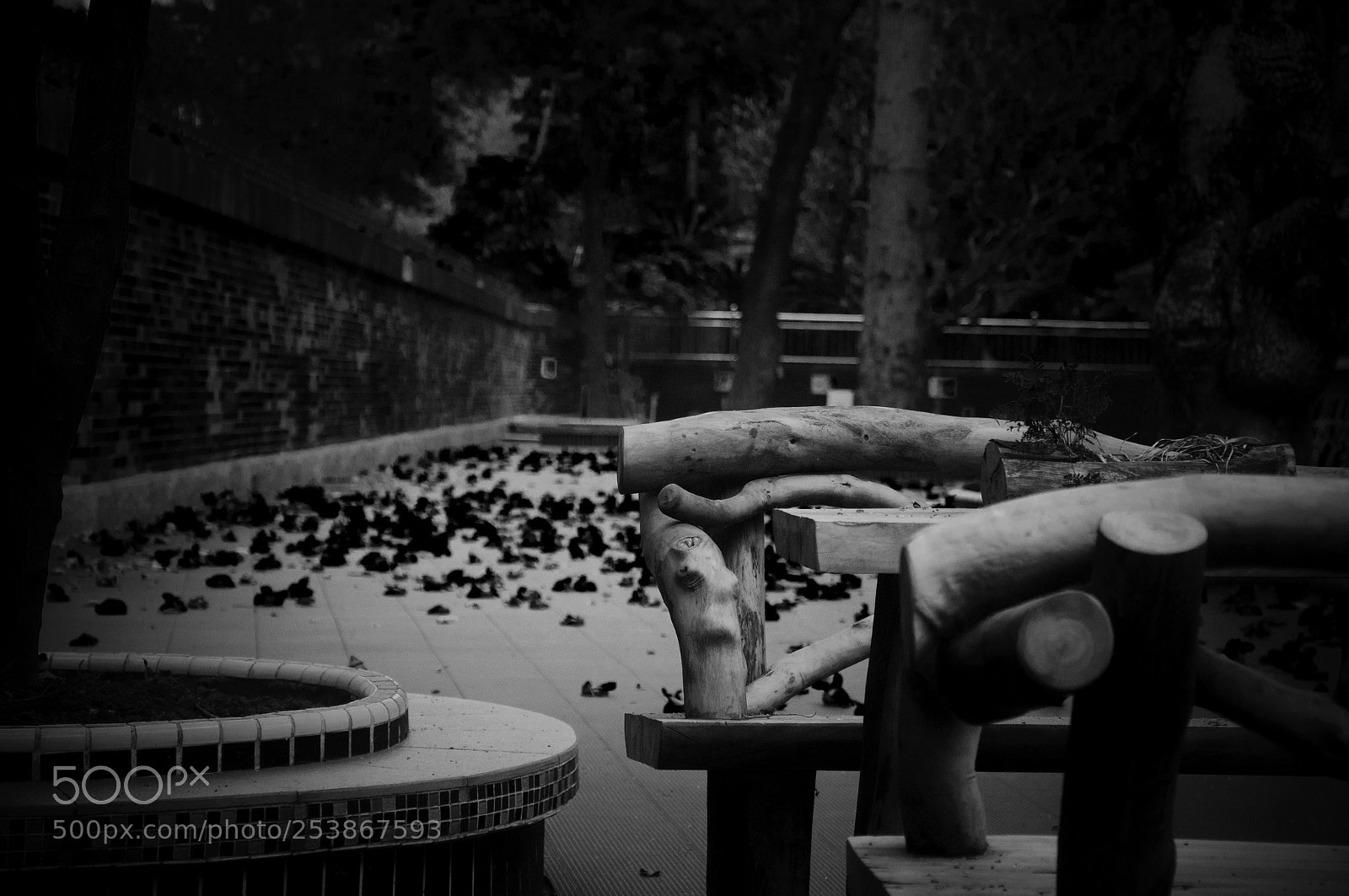 Nikon D90 sample photo. Silent garden photography
