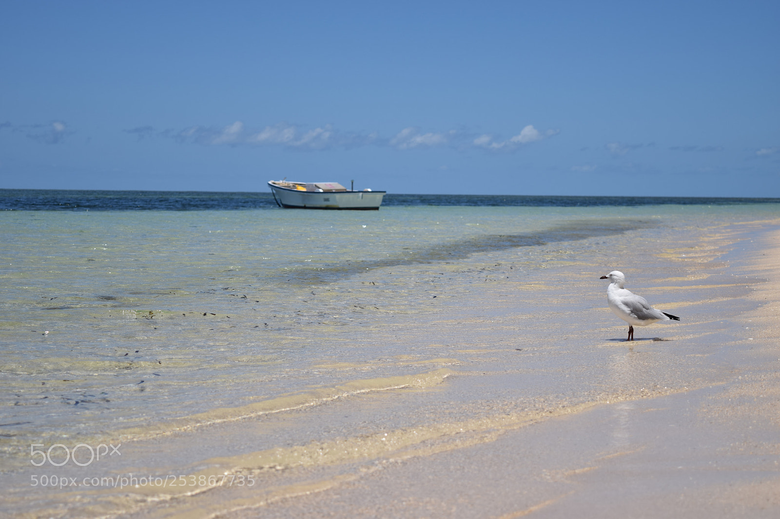 Nikon D3300 sample photo. Thinking on the beach photography