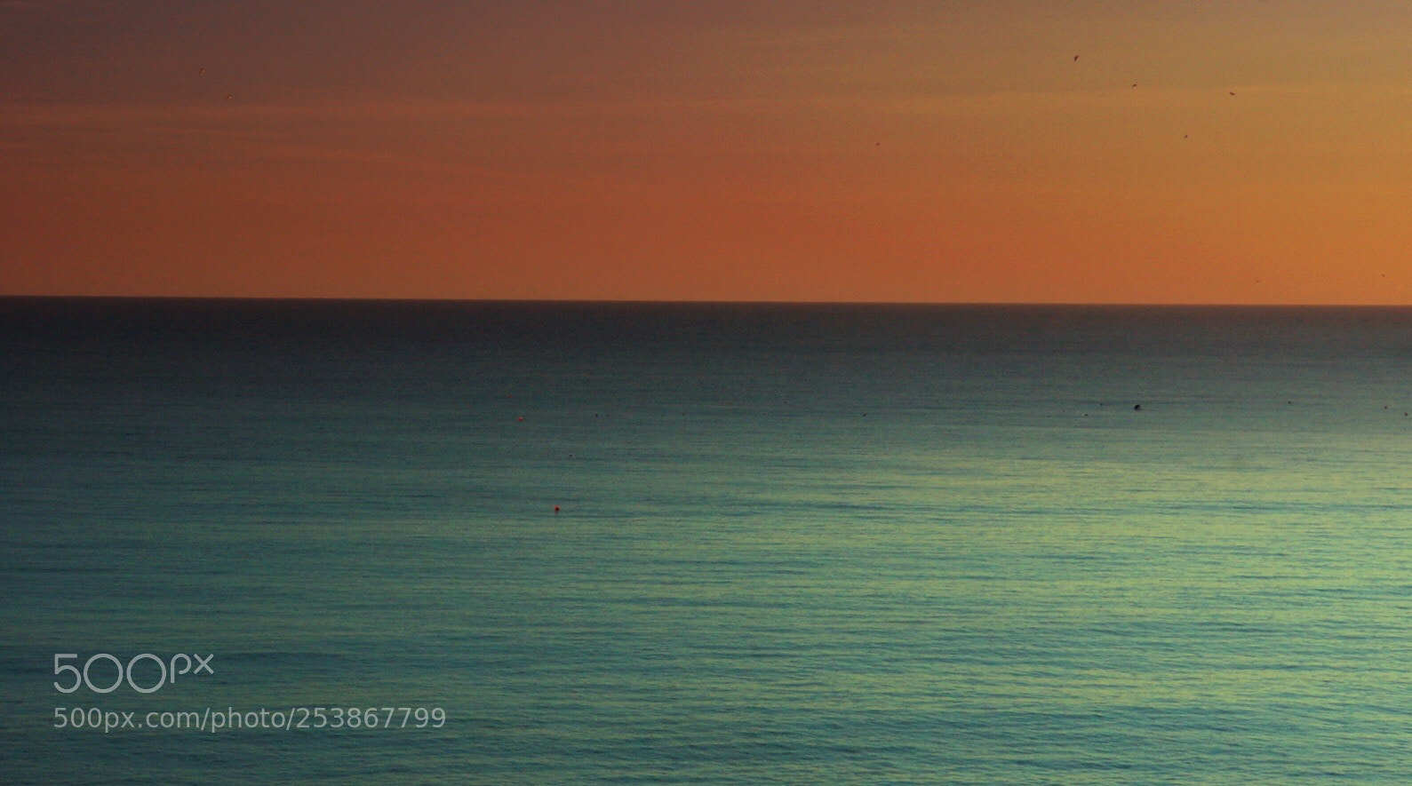 Sony Alpha NEX-7 sample photo. Algarve sunset photography