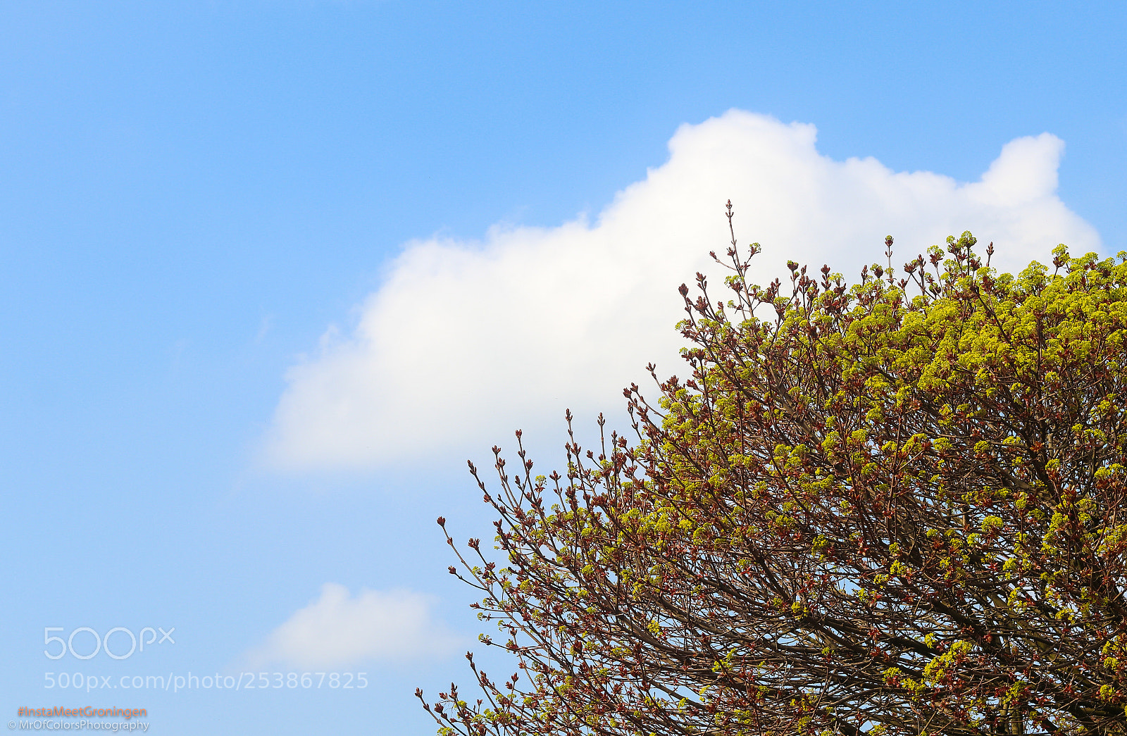 Canon EOS 80D sample photo. #instameetgroningen 15-04-2018 photography