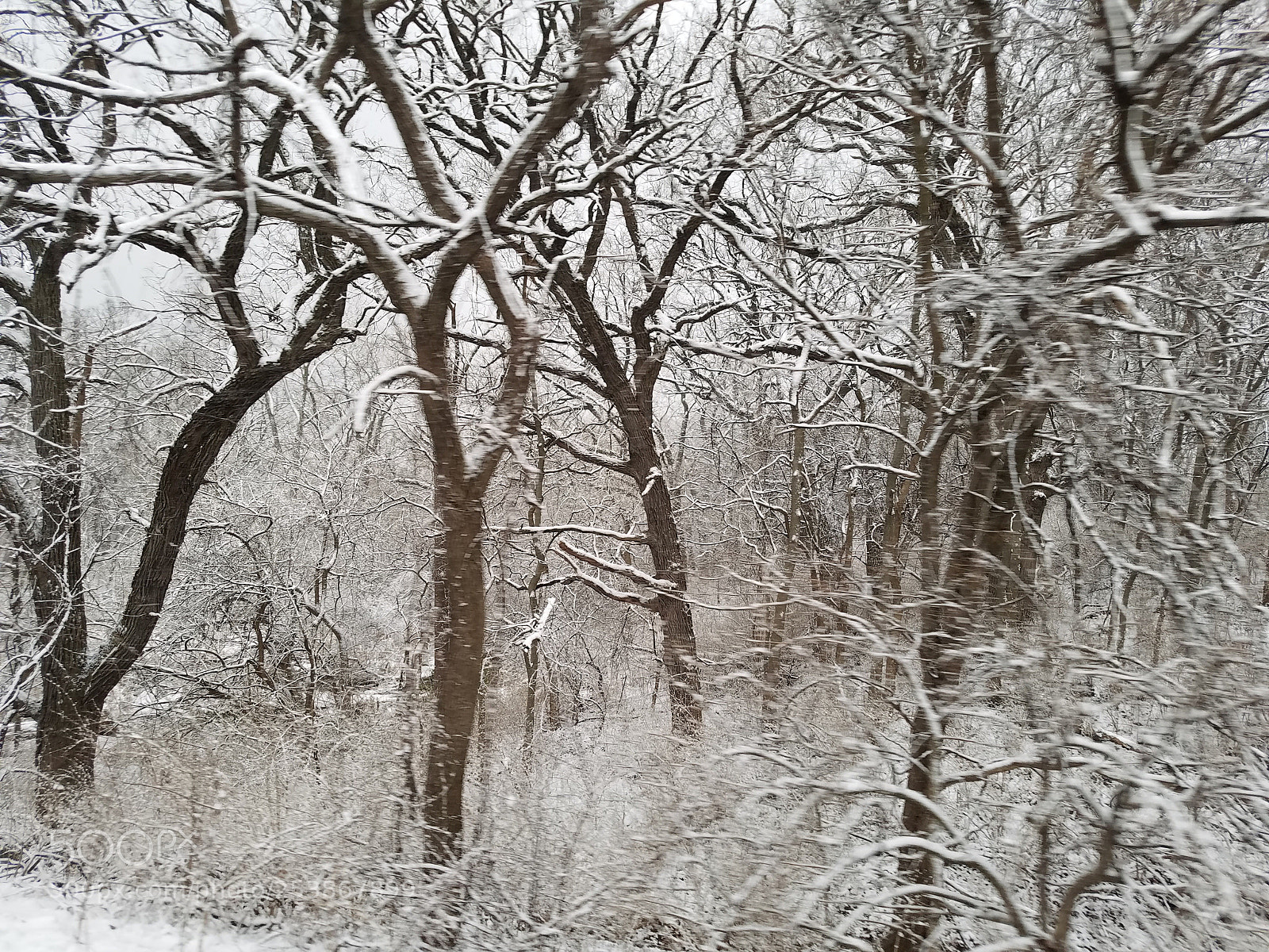 Samsung Galaxy S7 sample photo. Snow forest photography