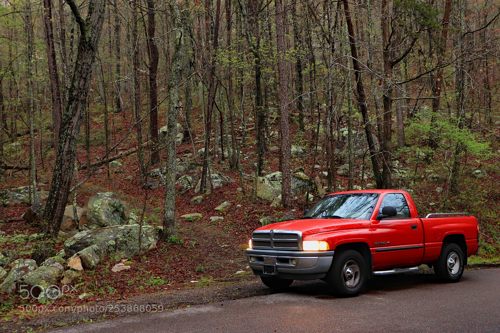 Canon EOS 200D (EOS Rebel SL2 / EOS Kiss X9) sample photo. Ocoee trails photography