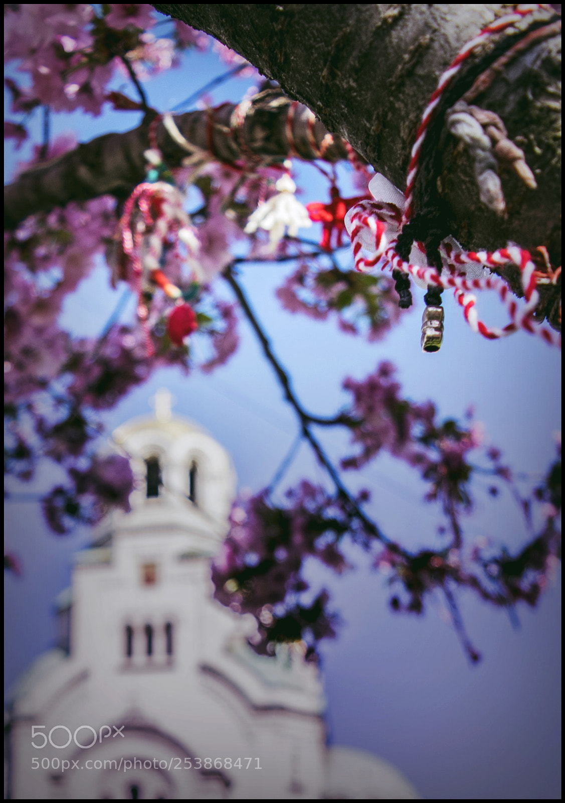 Nikon D3300 sample photo. Sofia in details photography
