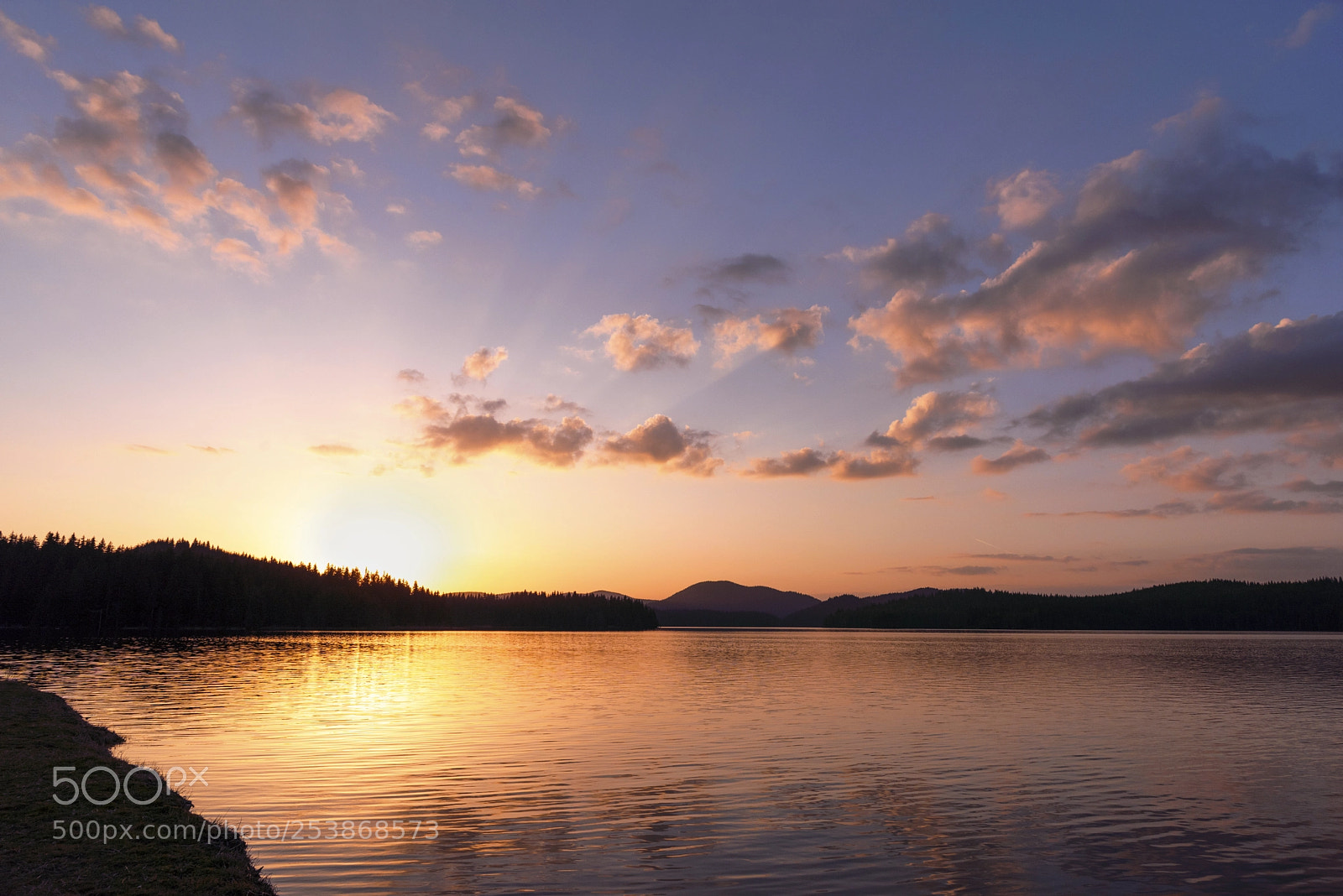 Nikon D810 sample photo. Широка поляна photography