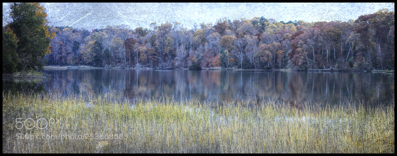 Canon EOS 7D sample photo. Down to the waterline photography