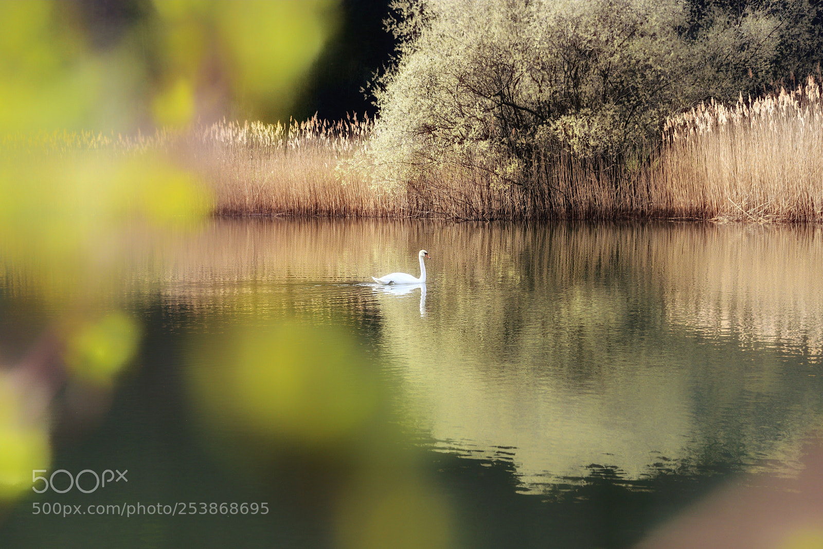 Nikon D810 sample photo. Untitled photography