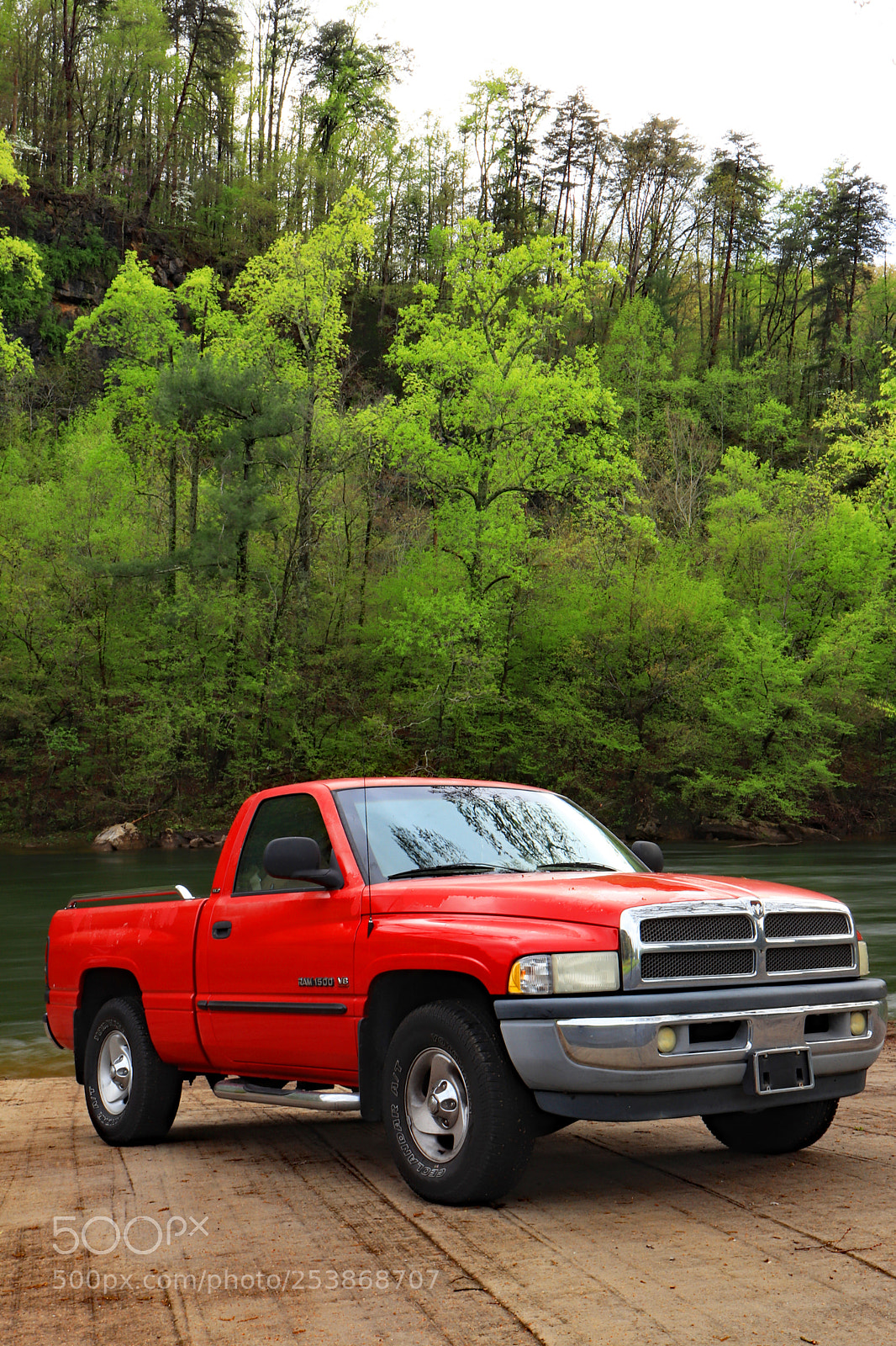 Canon EOS 200D (EOS Rebel SL2 / EOS Kiss X9) sample photo. Red ram riverside photography