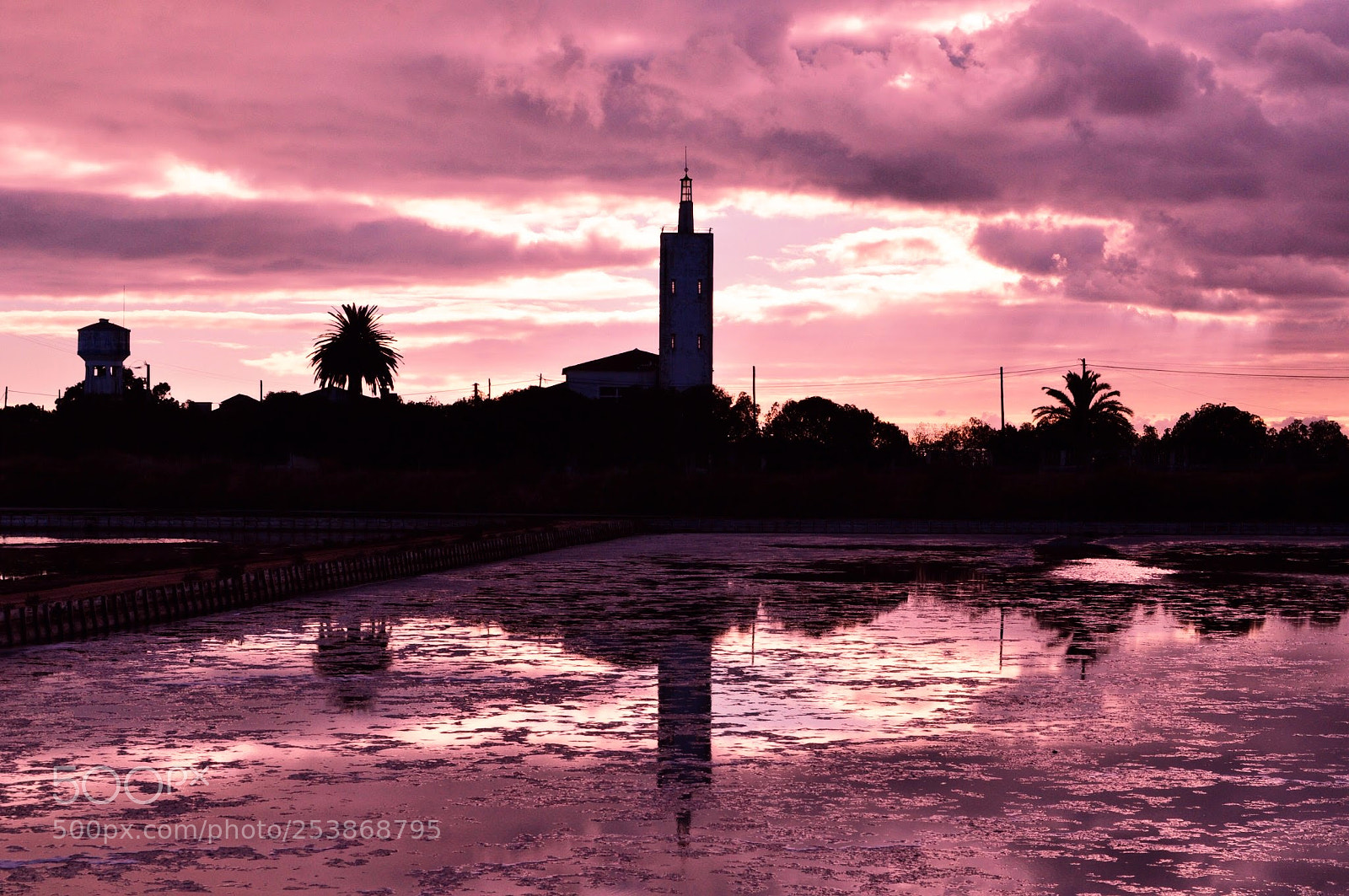Nikon D5000 sample photo. Purple sky! photography