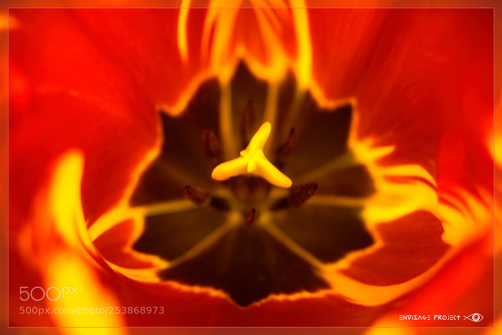 Sony a7R sample photo. Fire inside photography