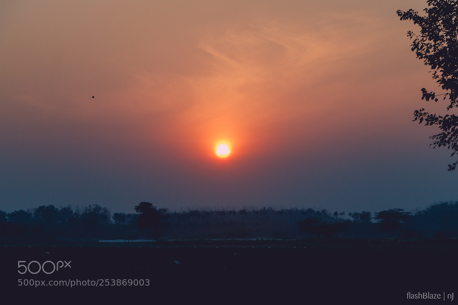 Canon EOS 70D sample photo. Winter sunset photography