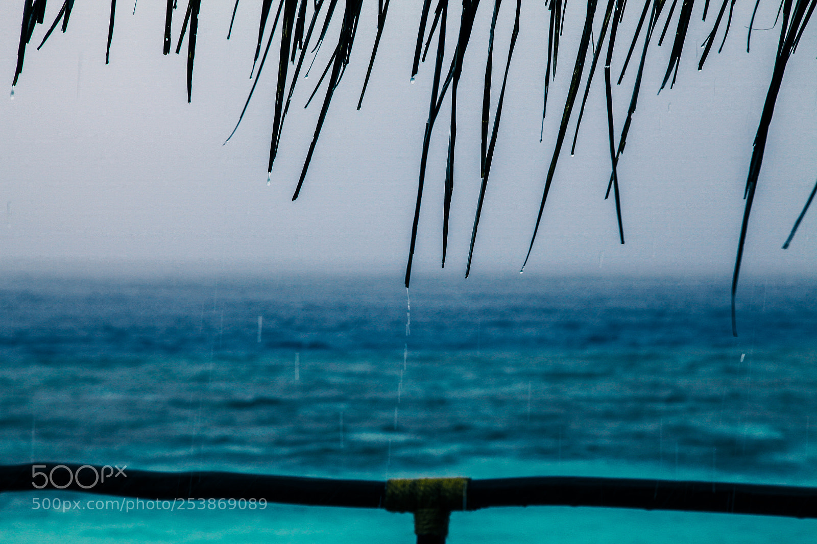 Canon EOS 5D Mark II sample photo. Rain drops. photography