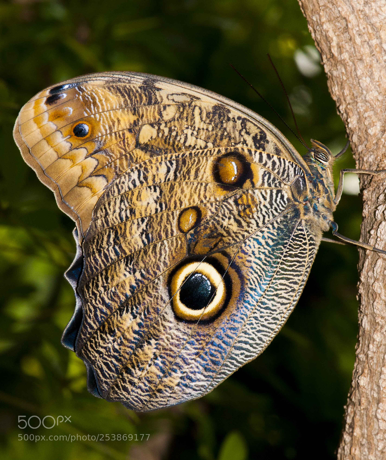 Nikon D300 sample photo. Lovely photography